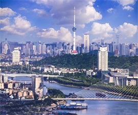 武漢友德汽車電器有限公司